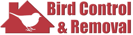 Bird-Removal.com